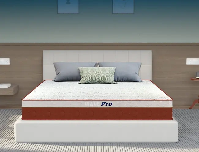 Centuary Hybrid Wave Pro