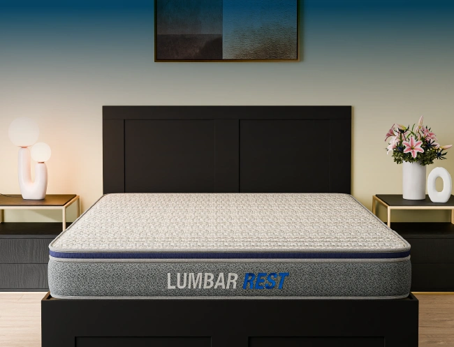 Centuary - Lumbar rest (75*72)