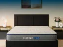 Centuary - Lumbar rest