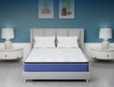 సెంచరీ ఆర్థో లాటెక్స్ మ్యాట్రెస్ (Centuary Ortho Latex Mattress)