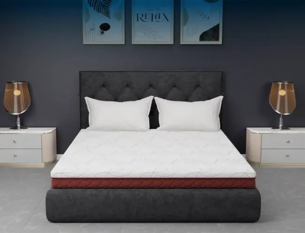 సెంచరీ లాటెక్స్ ప్రో మ్యాట్రెస్ (Centuary Latex Pro Mattress)