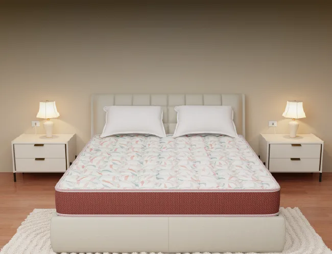 Centuary - Back pro (75*72, 5INCH)