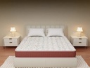 Centuary Back Pro Mattress