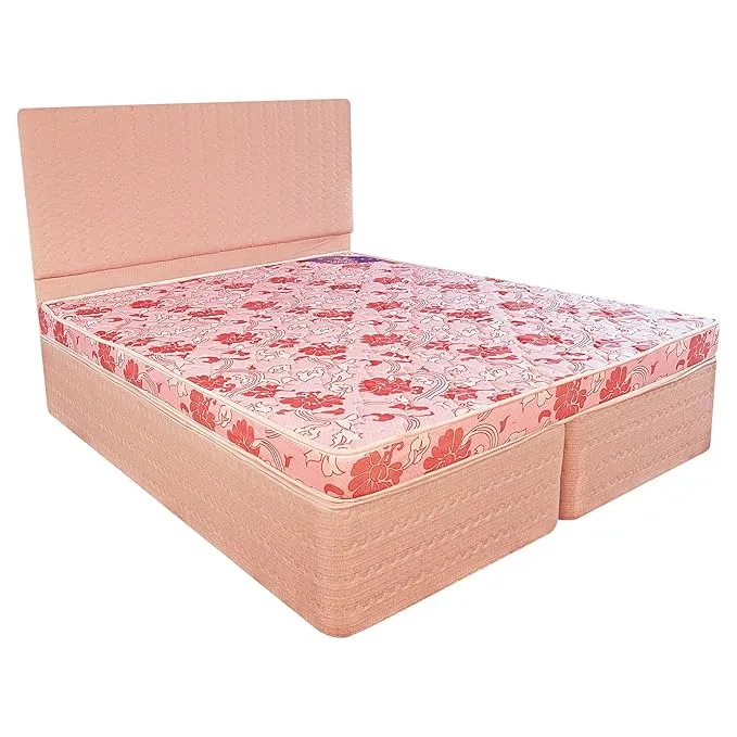 Centuary - Flexi Star (75*72, 5INCH)