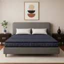 Centuary - Sunshine 5'Inch