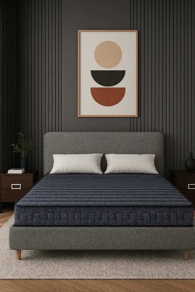 Centuary - Sunshine 6'Inch