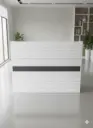 C-6010 Check Stand