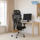 కోబ్రా HB చైర్ (Kobra HB Chair)