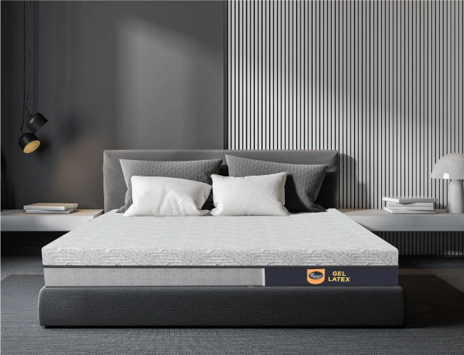 Centuary Hybrid Gel Latex (75*72)