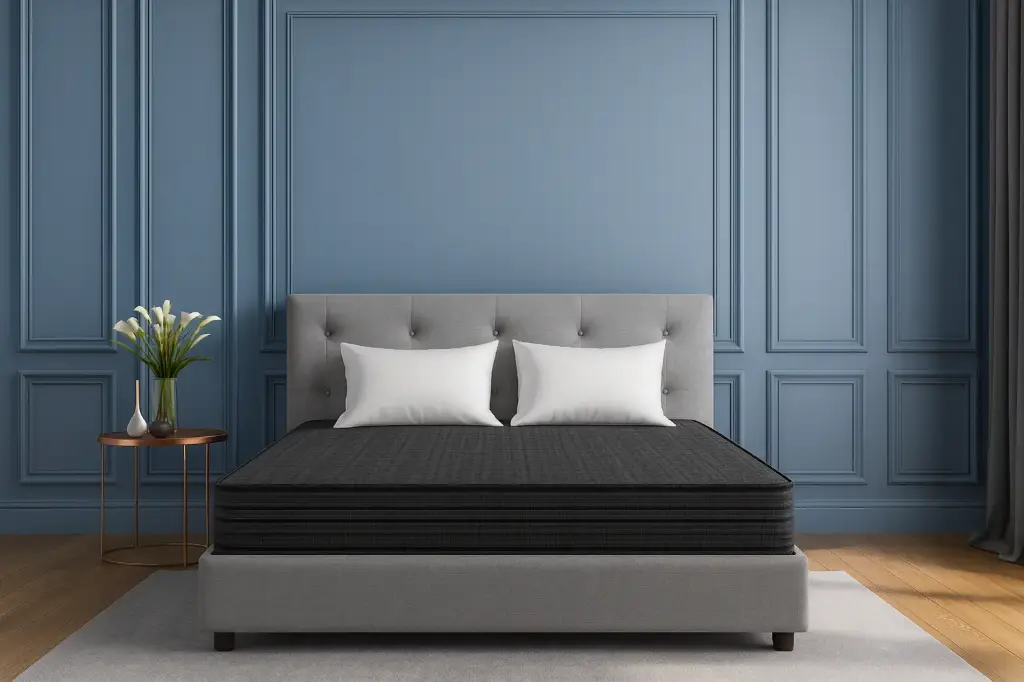 Centuary Ortho Active