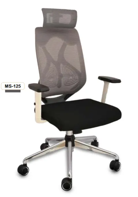 MS 125 HB Spinal Back Chair
