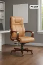 PS 207 Presidental Chair