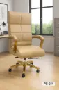 PS 211 Presidental Chair