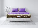 స్లీప్‌వెల్ - ప్రో ఫిట్‌రెస్ట్ లగ్జరీ (Sleepwell - Pro Fitrest Luxury)