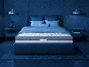స్లీప్‌వెల్ - ప్రో నెక్సా ప్రీమియం 6'ఇంచ్ (Sleepwell - Pro Nexa Premium 6'Inch)