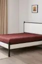 JF 5555