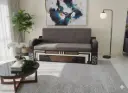 ఎలైట్ సోఫా కమ్ బెడ్ (Elite Sofa Cum Bed)