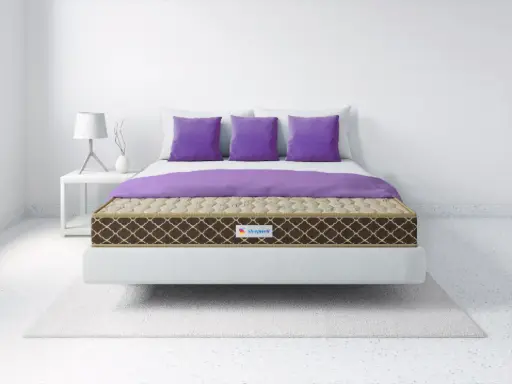 SLEEPWELL-PRO FITREST CLASSIC 6"