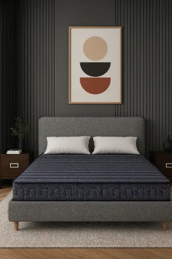 Centuary - Sunshine 6'Inch