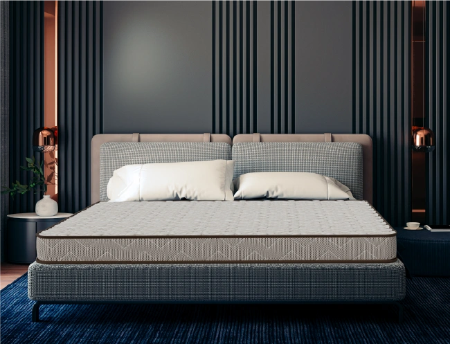 Centuary - Viscoshine 6'Inch