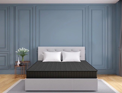 Centuary Ortho Active Mattress