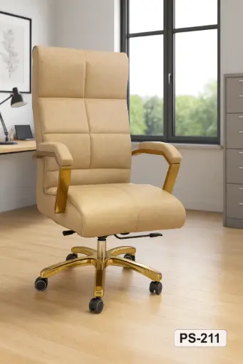 PS 211 Presidental Chair