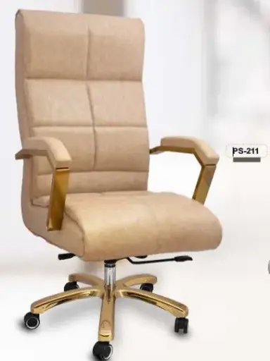 PS 211 Presidental Chair